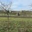  STEF'IMMO : Ground | LA CHAPELLE-BASSE-MER (44450) | 1 070 m2 | 115 500 € 